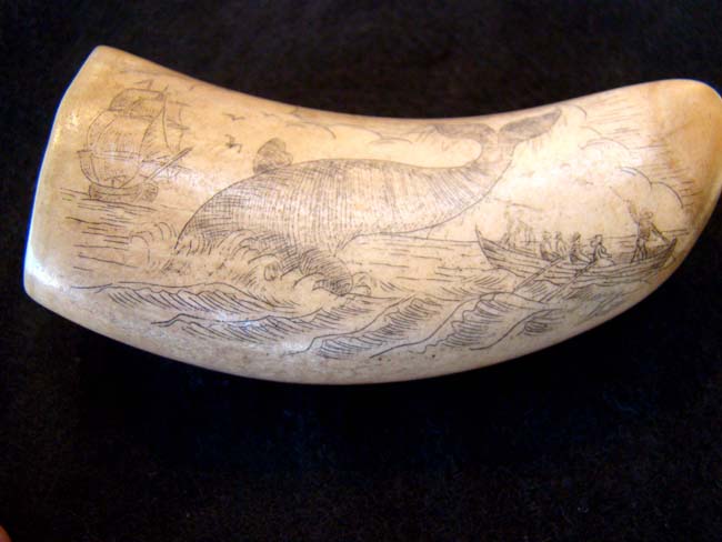 A late 19th or early 20th century Whale's tooth with whaling scene — image 6
